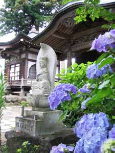 深妙寺 あじさい寺